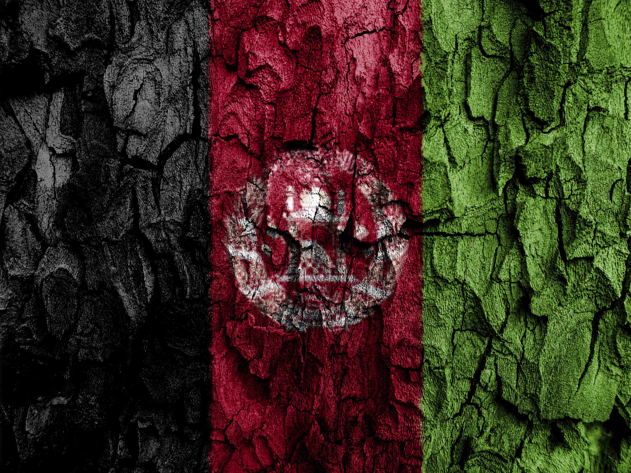 Olympus E-5 sample photo. Afghanistan flag on trunk of tree photography