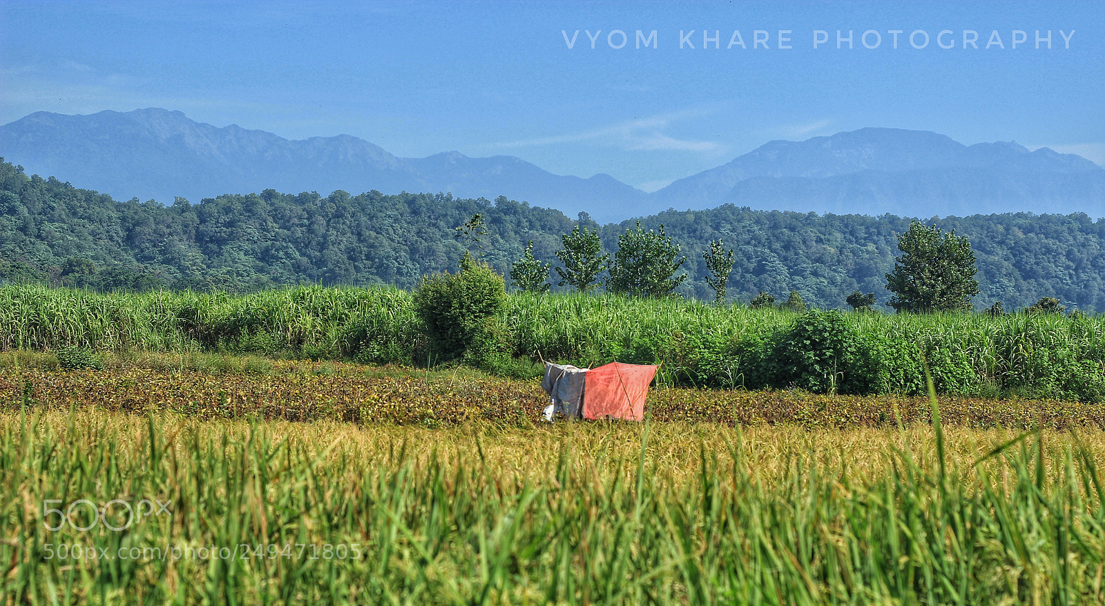 Canon EOS 600D (Rebel EOS T3i / EOS Kiss X5) sample photo. Green field photography