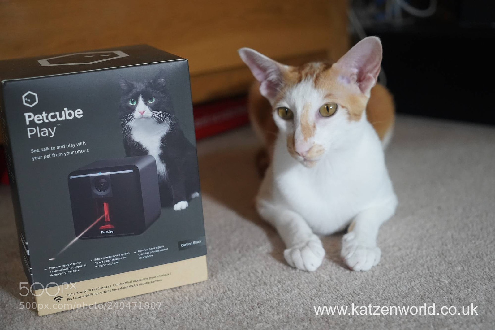 Sony a9 sample photo. Renegade the new and photography