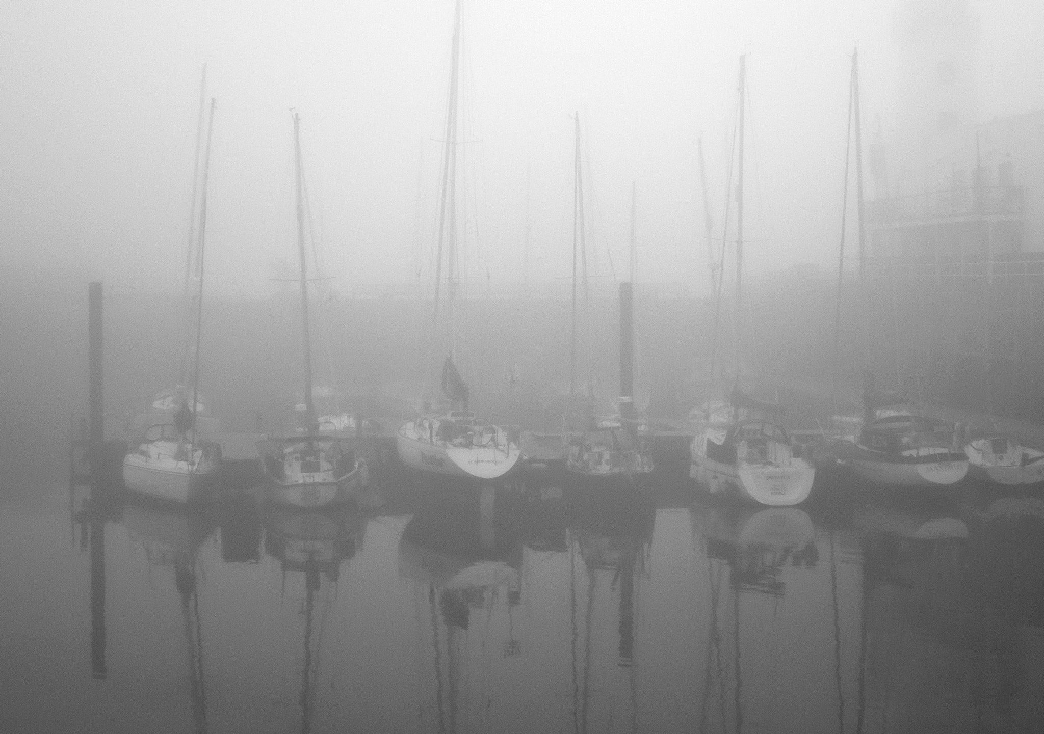 Canon PowerShot S95 sample photo. The fog photography