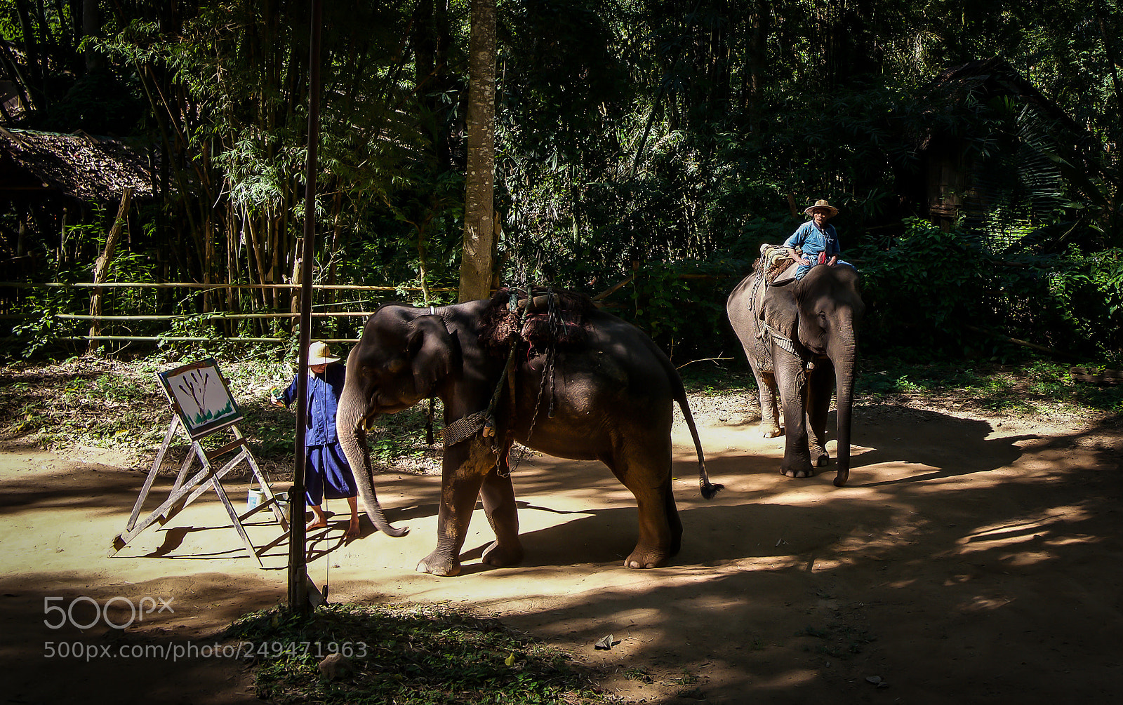Leica Q (Typ 116) sample photo. Elephants' circus. photography