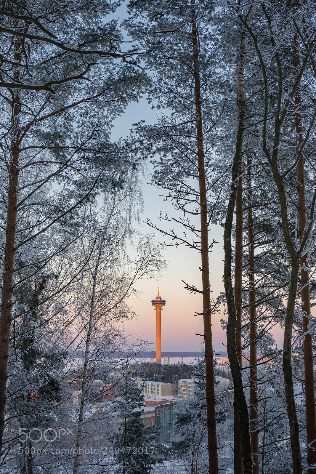 Nikon D7200 sample photo. Näsinneula naturally framed photography
