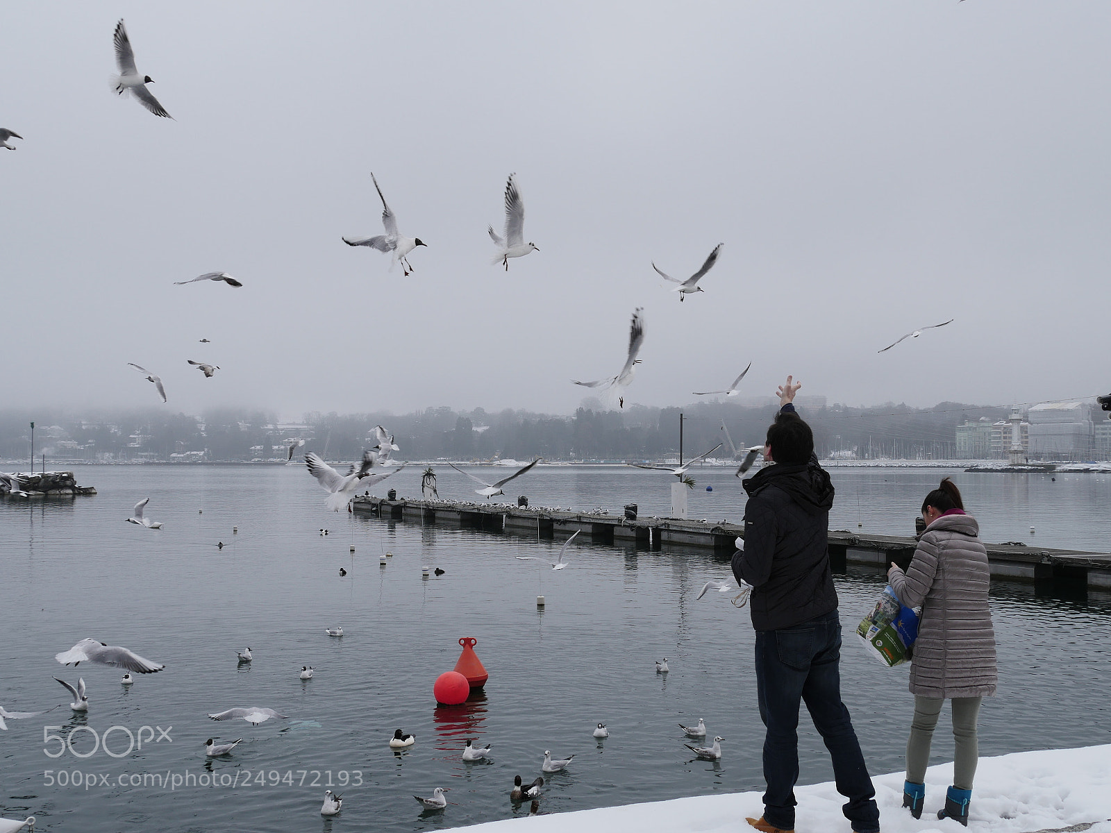 Panasonic Lumix DMC-GX8 sample photo. Street of geneva photography