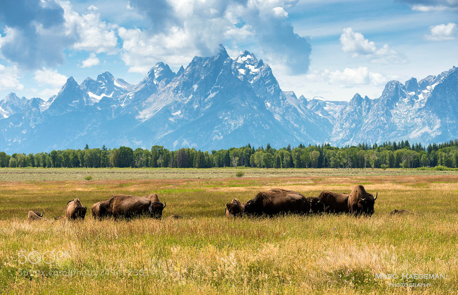 Nikon D800 sample photo. The grand tetons photography