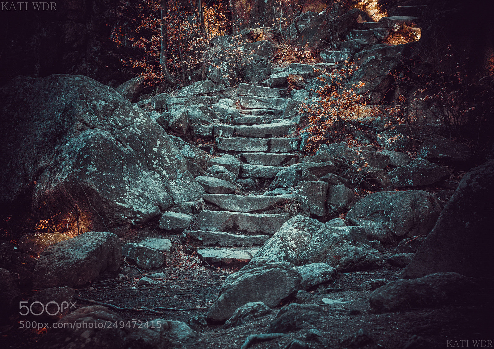 Nikon D7100 sample photo. Stone stairs photography