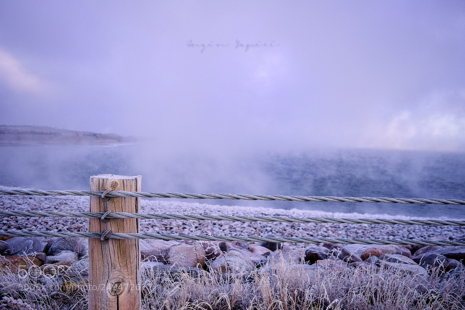 Nikon D3300 sample photo. Frost photography