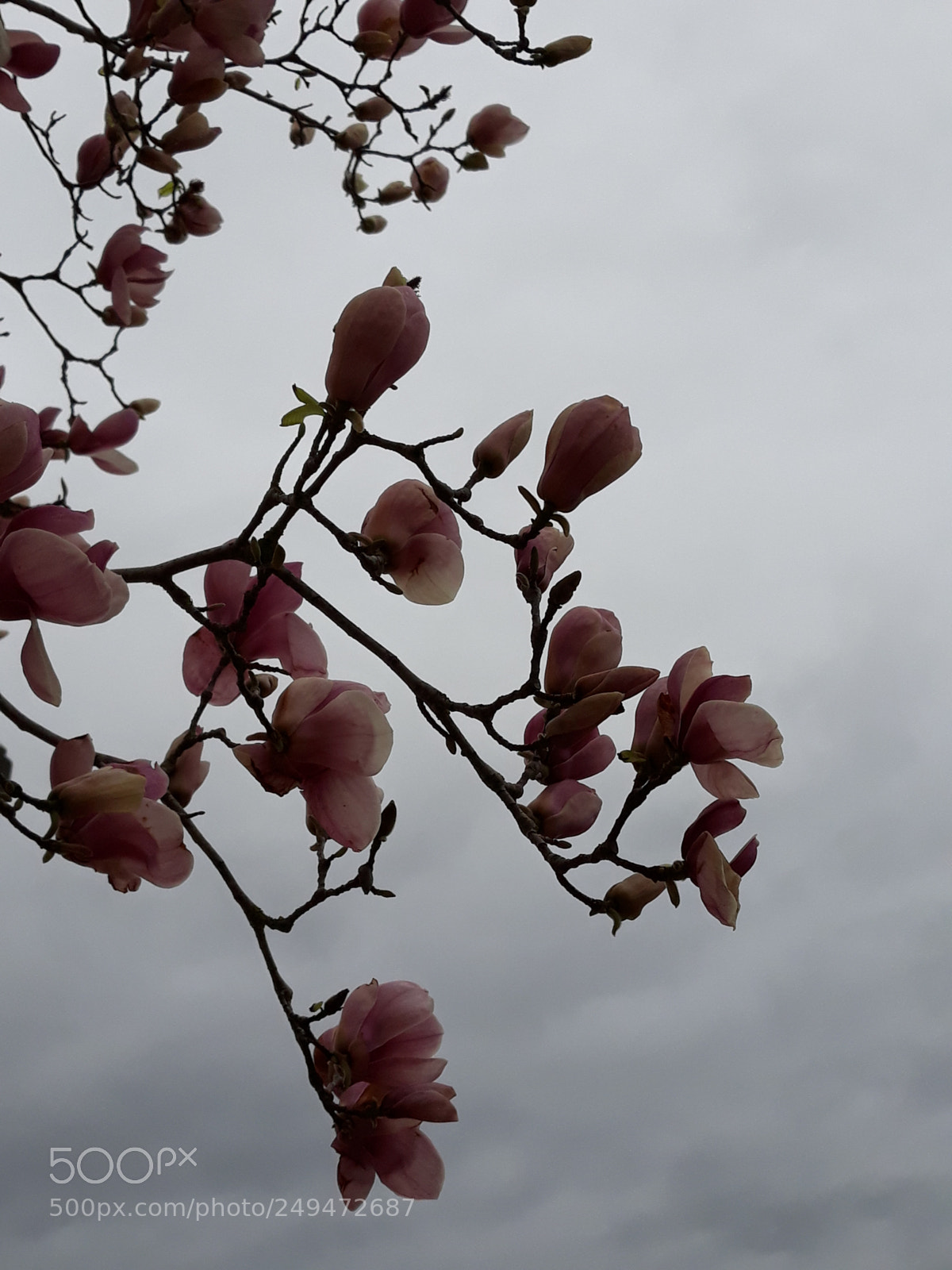 Samsung Galaxy J5 sample photo. 20180306_165834.jpg photography