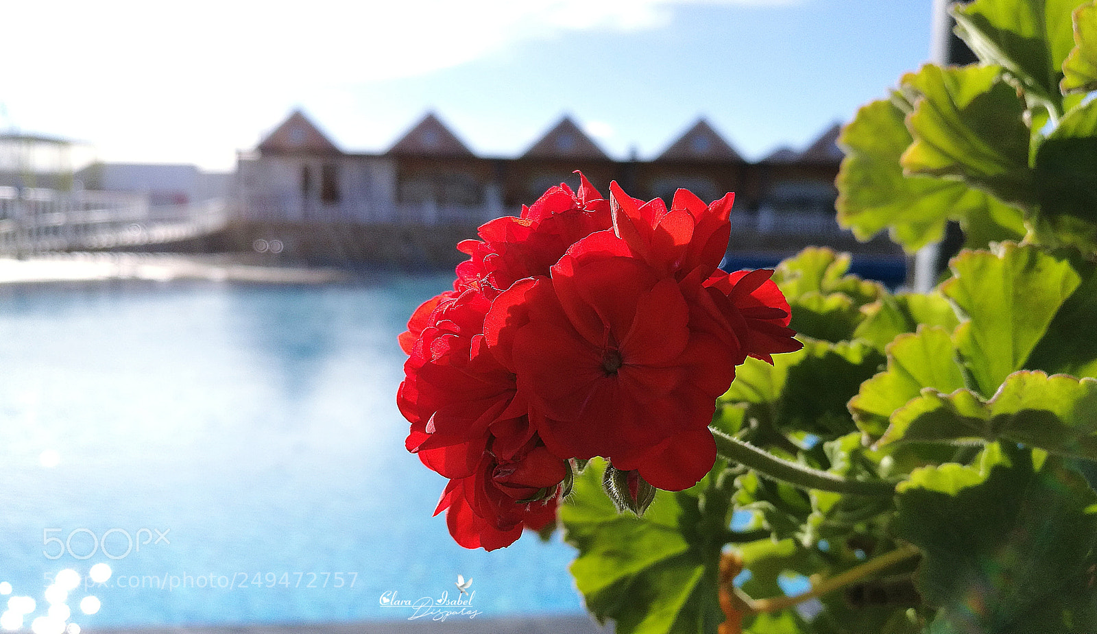 HUAWEI P9 Plus sample photo. La belleza que nos photography