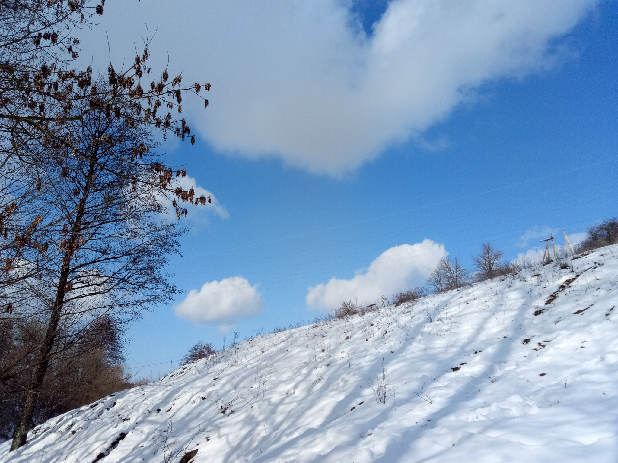 Meizu U20 sample photo