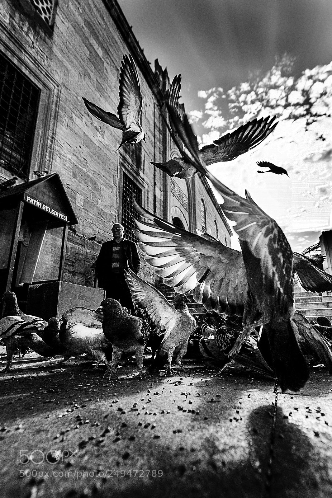 Nikon D3S sample photo. Untitled photography