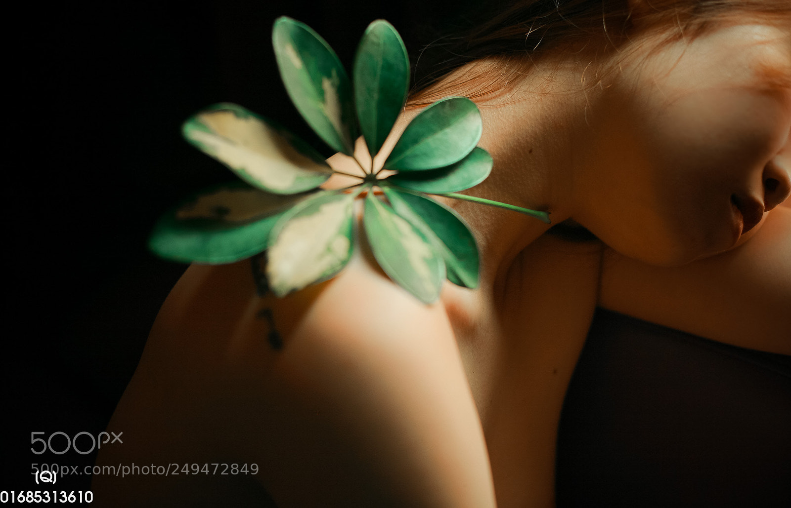 Canon EOS 5D sample photo. Img photography