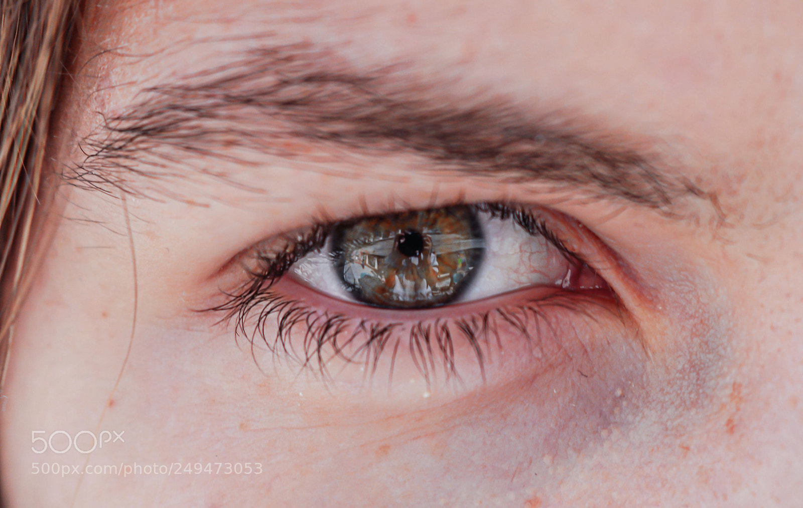 Canon EOS 750D (EOS Rebel T6i / EOS Kiss X8i) sample photo. Brillante, camina despacio y photography