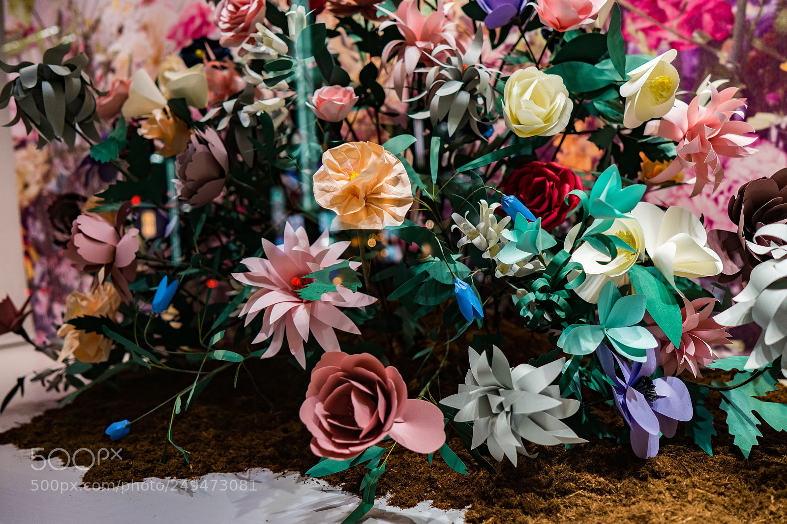 Sony a7 II sample photo. Untitled photography