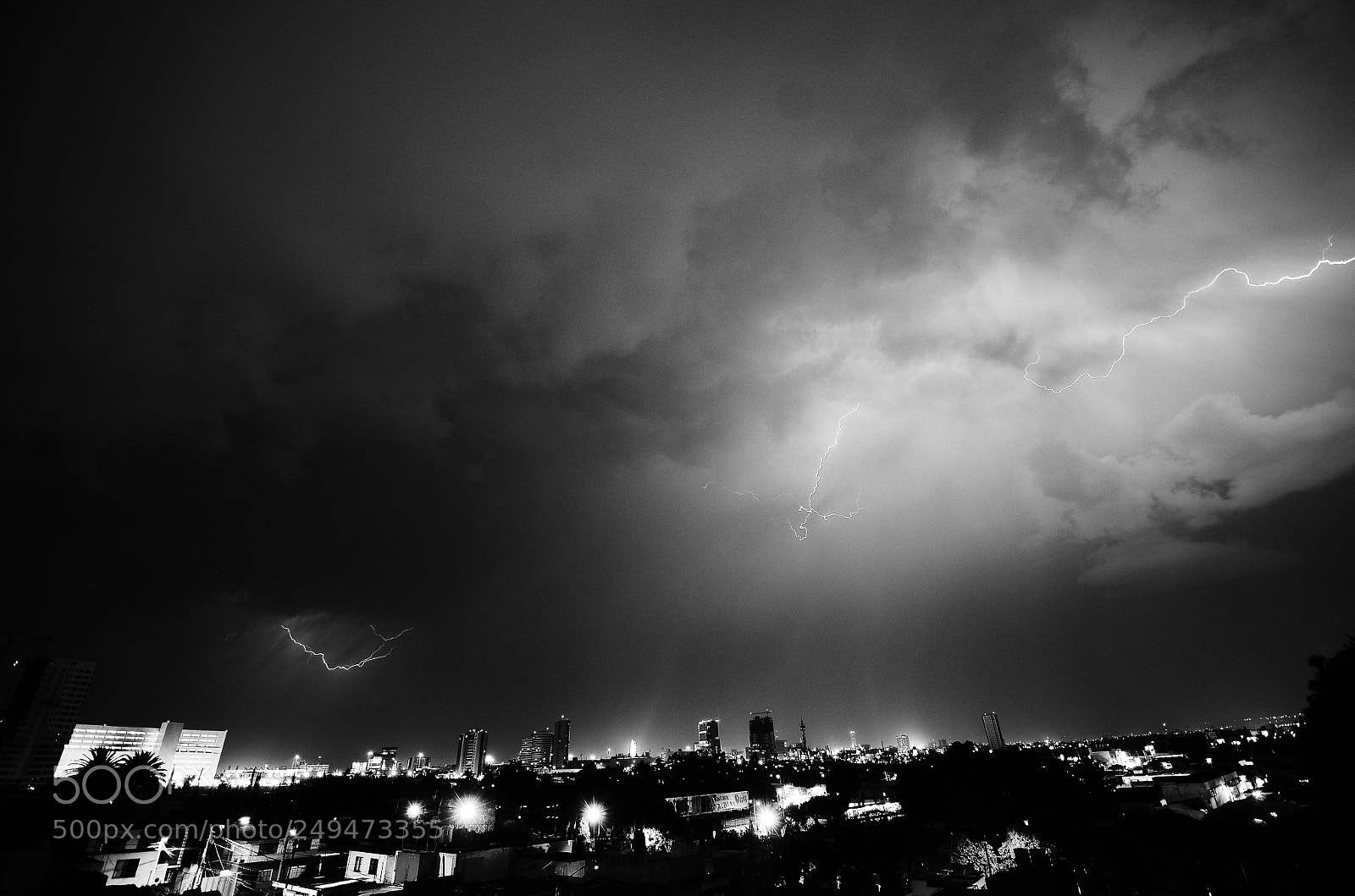 Nikon D7000 sample photo. Untitled photography