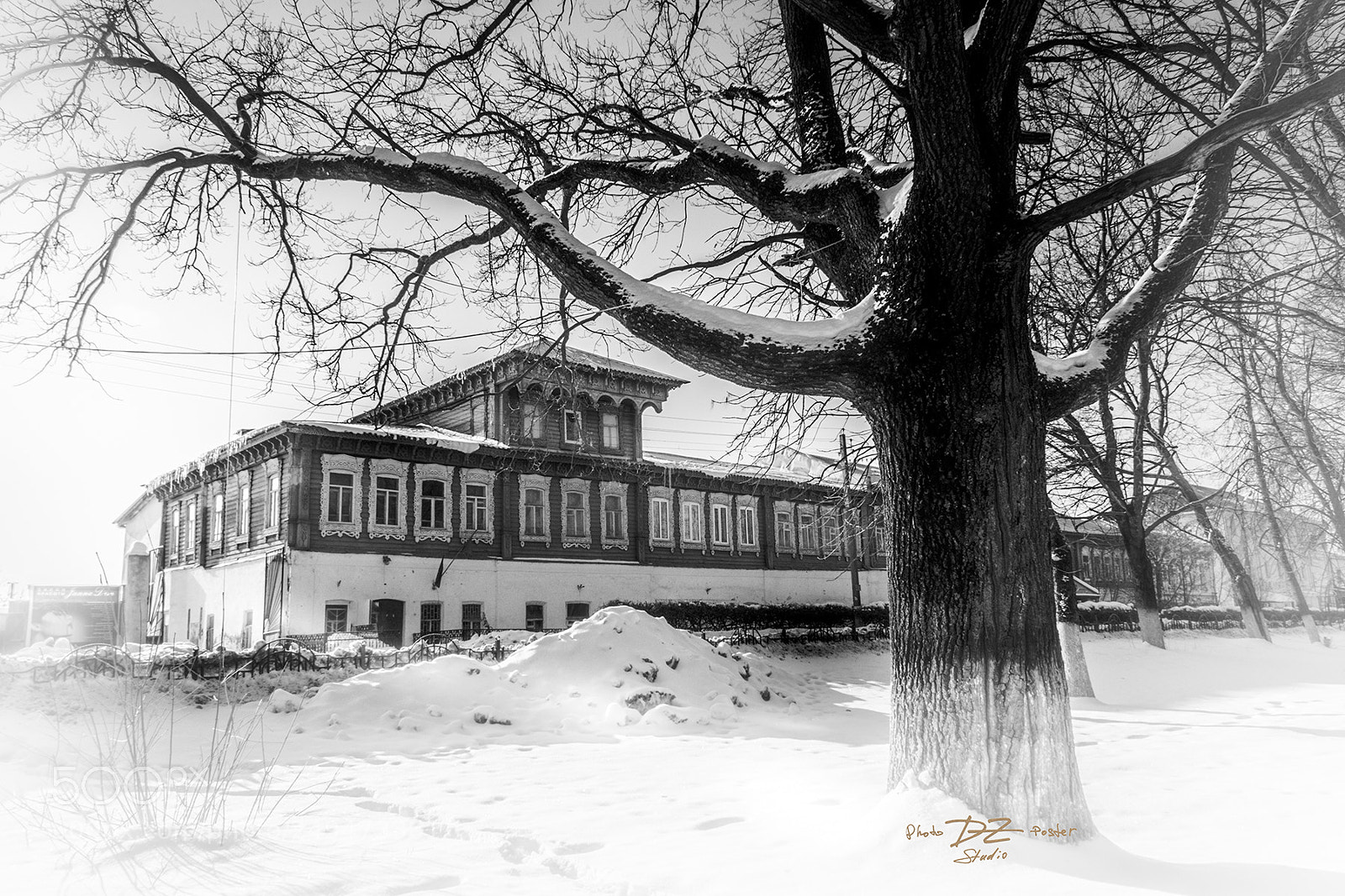 Canon EOS 50D sample photo. Long house with oak photography