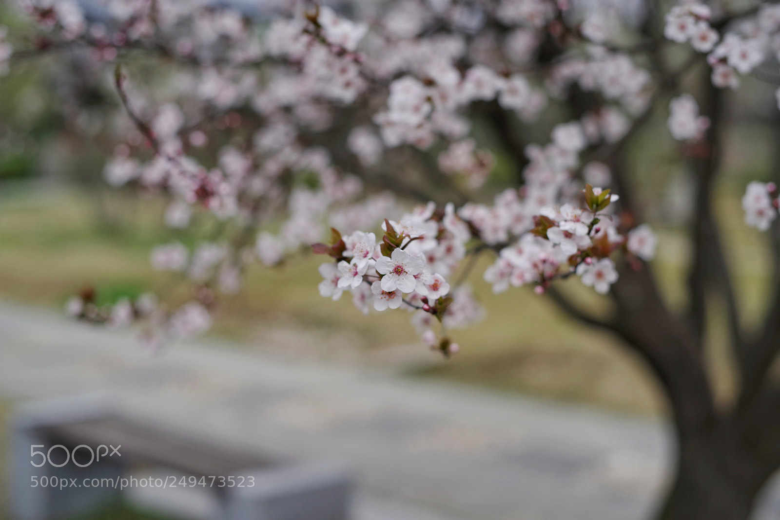 Pentax K-1 sample photo. Untitled photography