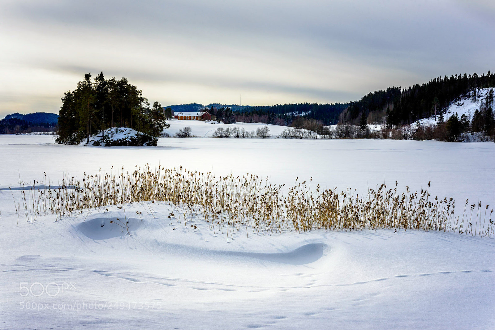 Nikon D610 sample photo. Winterlake photography