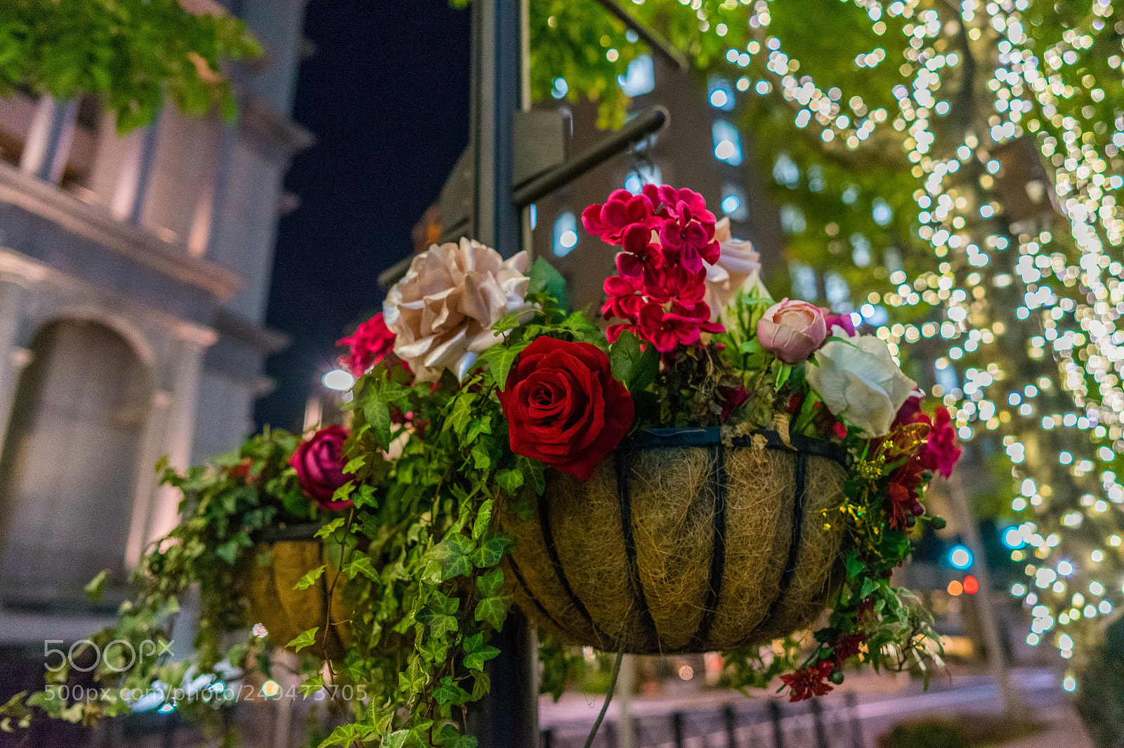 Sony a7 II sample photo. Untitled photography