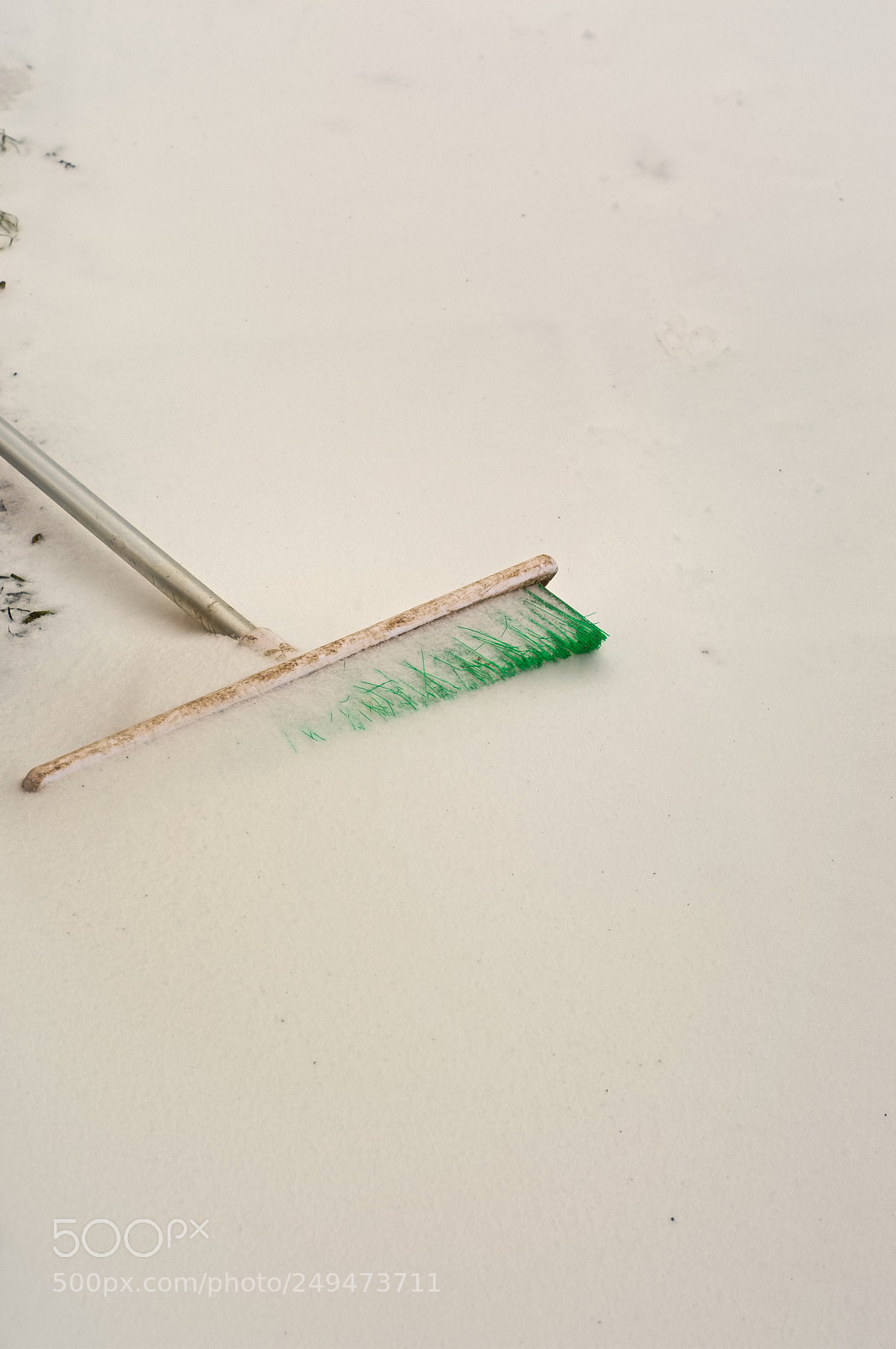 Nikon D3200 sample photo. Snow brush photography