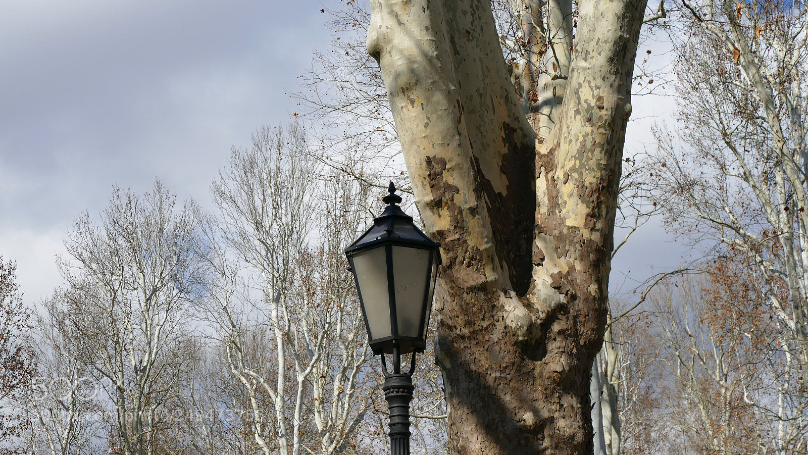 Panasonic Lumix DMC-FZ1000 sample photo. Old lantern photography