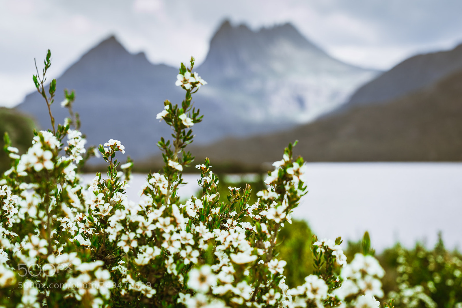 Sony a7 II sample photo. Cradle mountain 2 photography