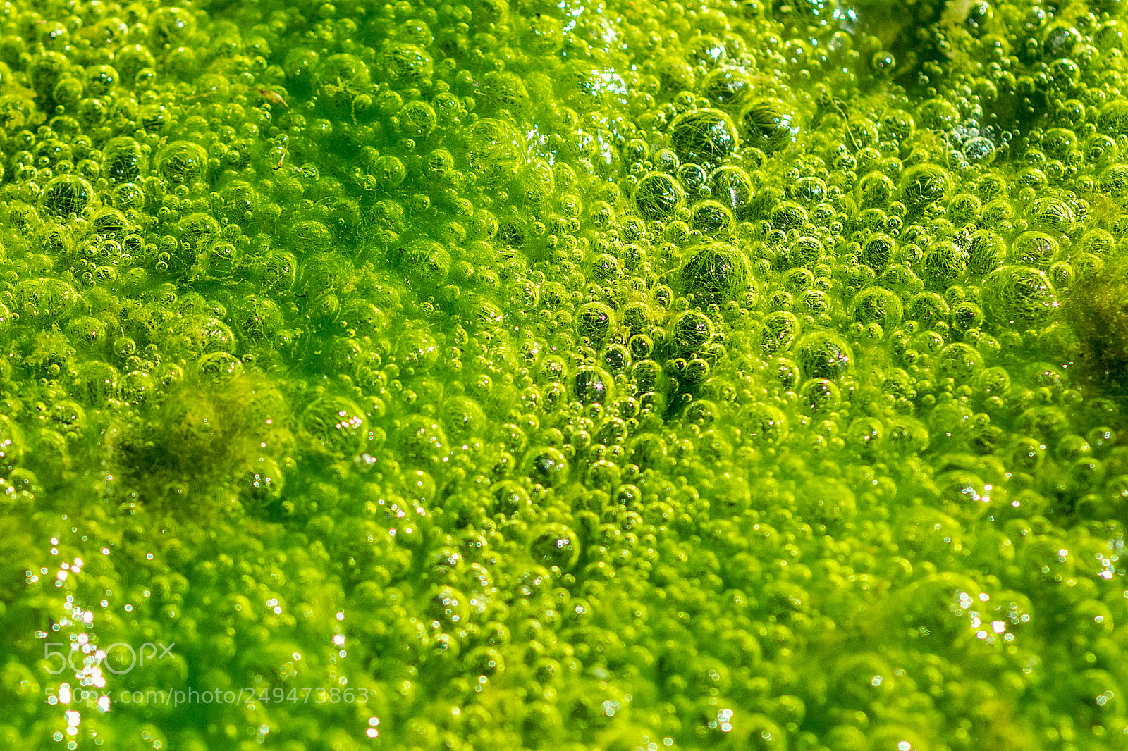 Nikon D5300 sample photo. The surface of the photography