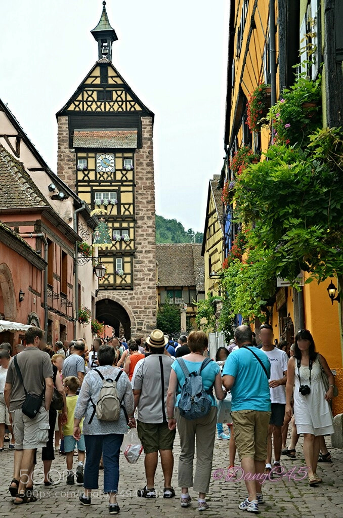 Nikon D5100 sample photo. Alsace (17) photography