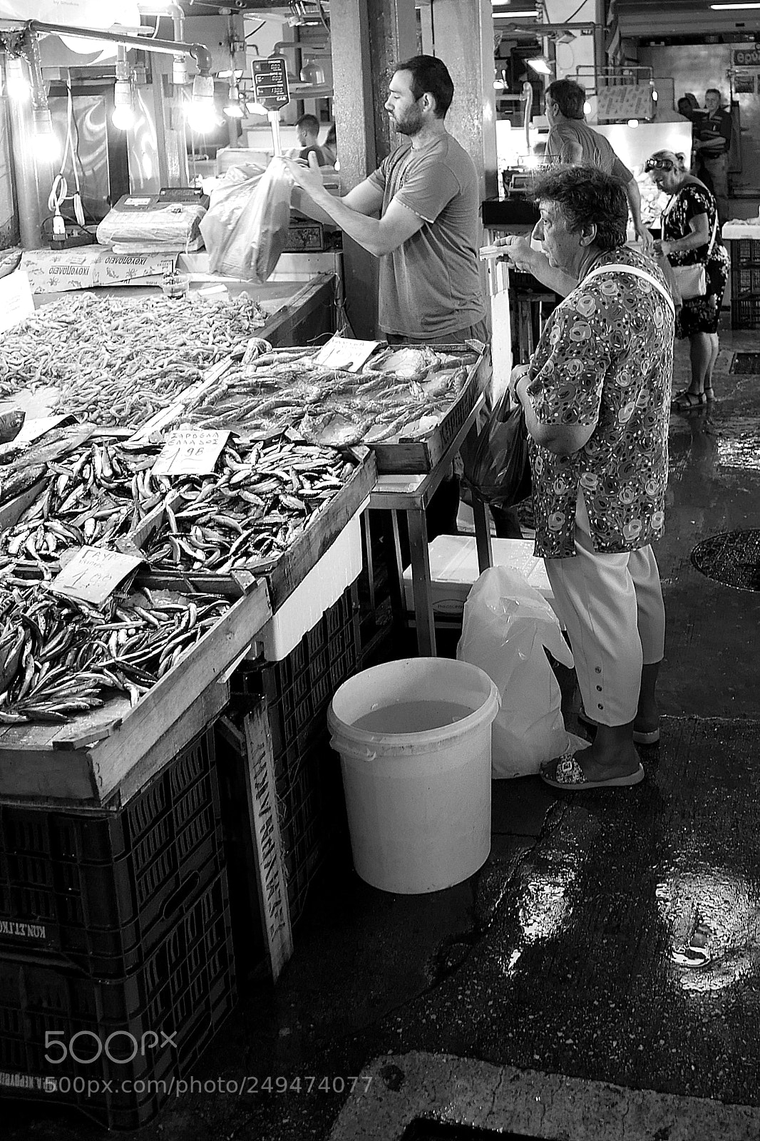 Panasonic Lumix DMC-LX100 sample photo. It's fish the friday! photography