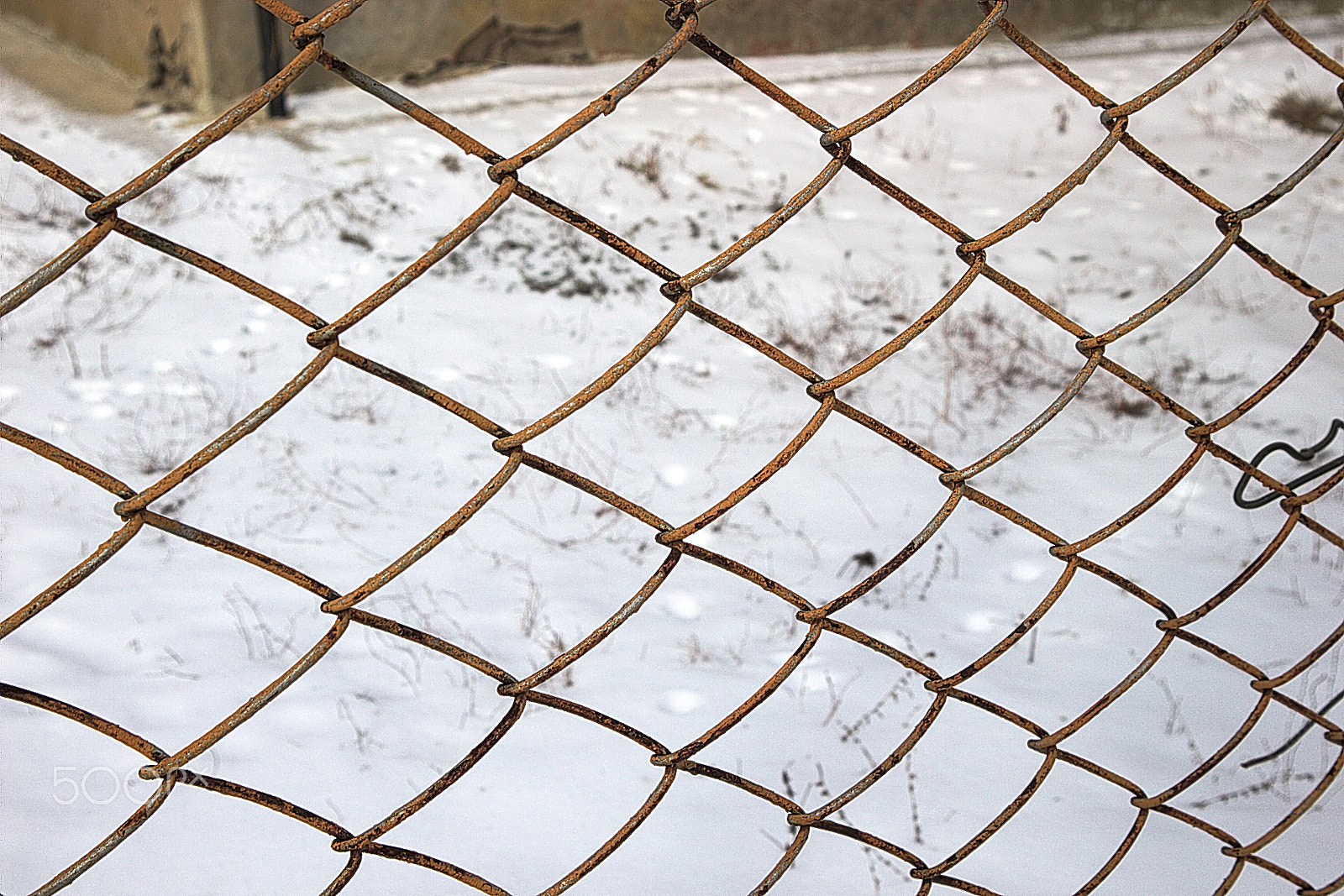 Canon EOS M10 sample photo. Rusty fence mesh in the winter photography