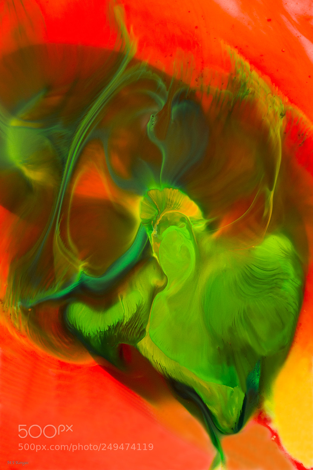 Nikon D610 sample photo. Other worldly being photography