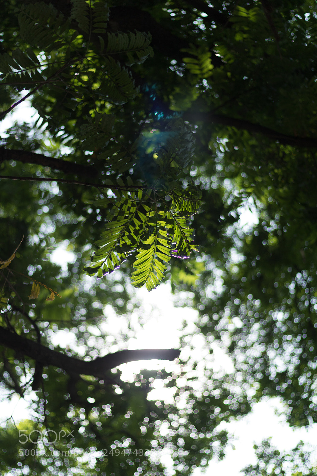 Canon EOS 760D (EOS Rebel T6s / EOS 8000D) sample photo. One photography
