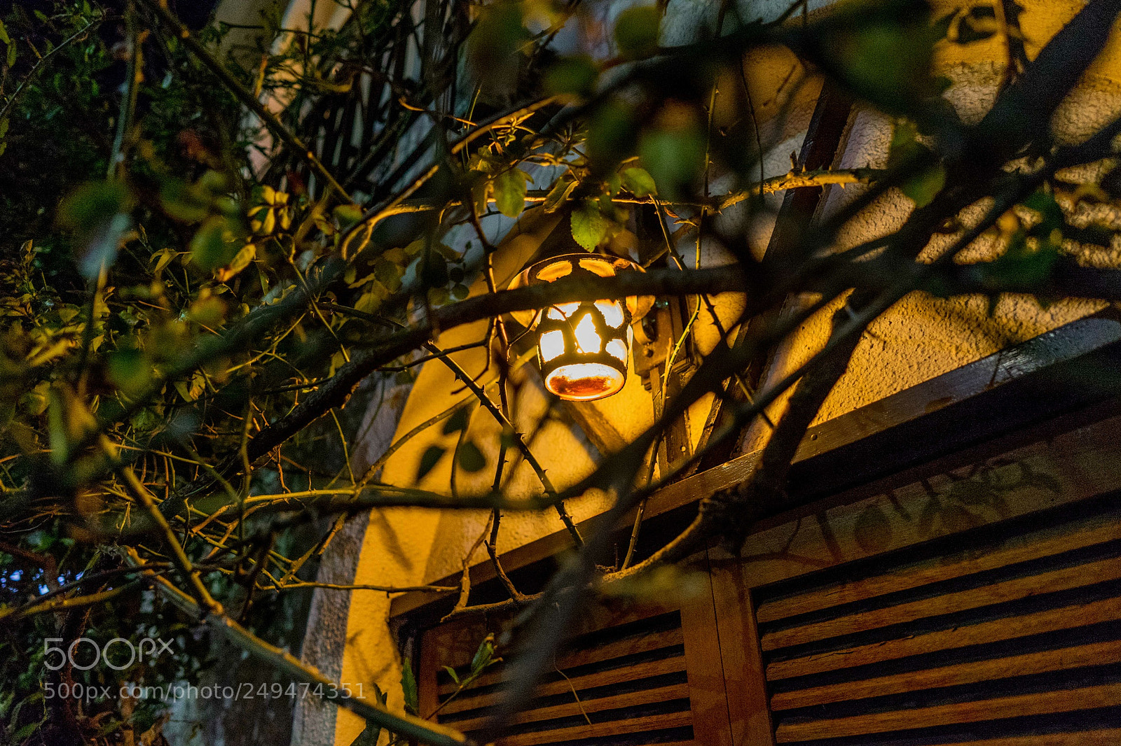 Sony a7 II sample photo. Untitled photography