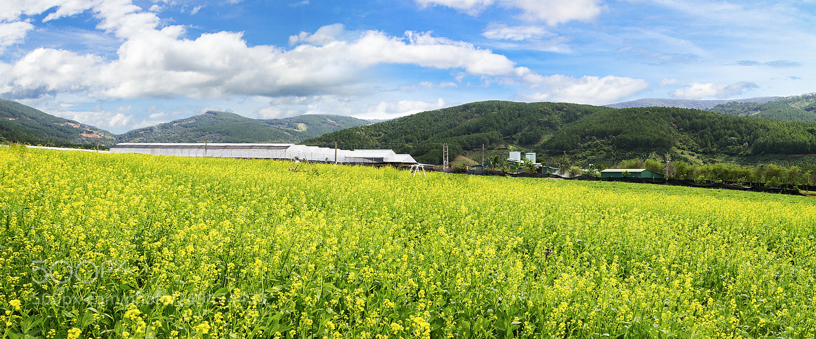 Canon EOS 7D sample photo. Img photography