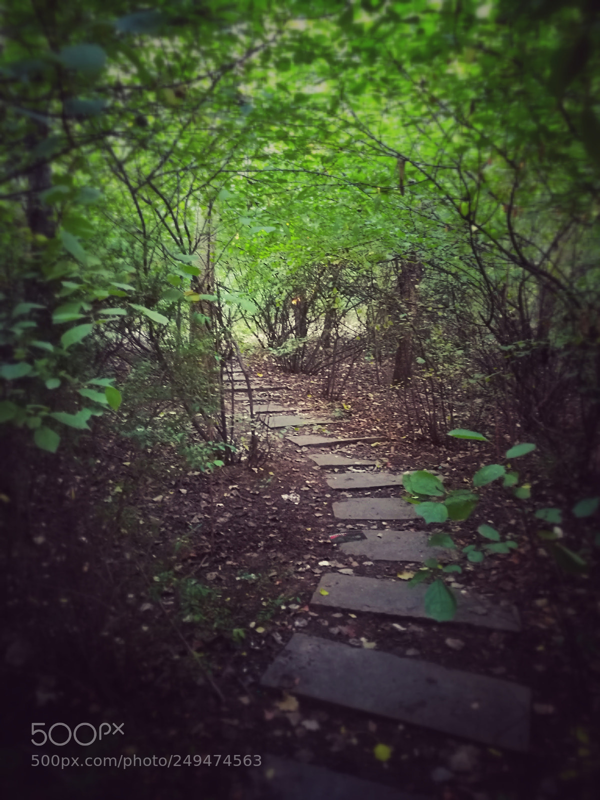 HUAWEI P9 Plus sample photo. Untitled photography
