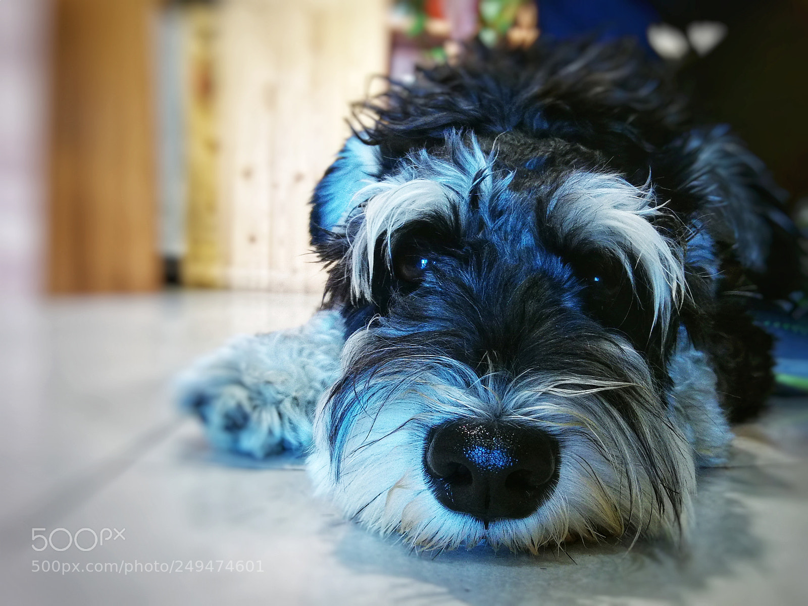 HUAWEI P9 Plus sample photo. Untitled photography
