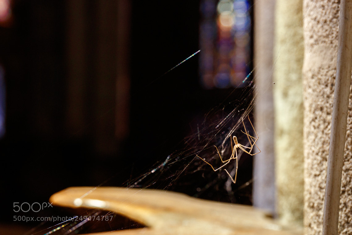 Canon EOS 80D sample photo. The church keeper photography