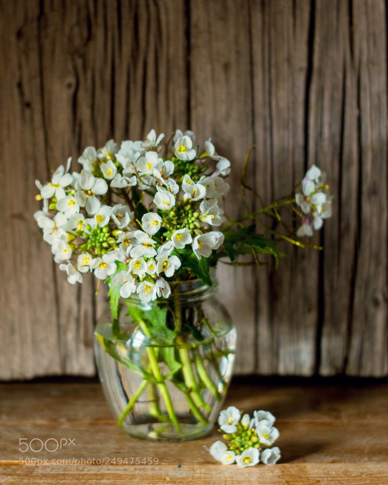 Canon EOS 70D sample photo. Primavera photography