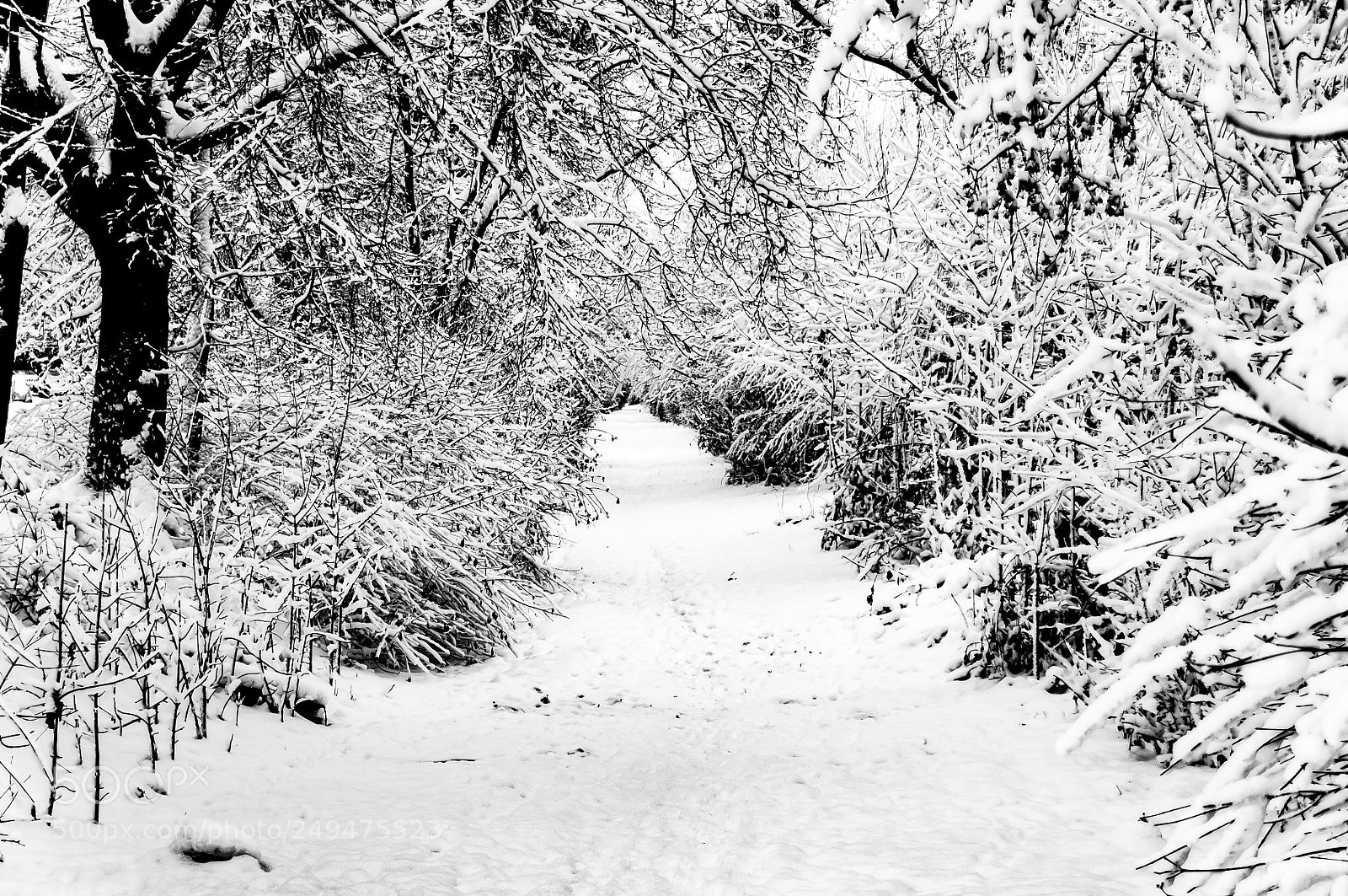 Nikon D90 sample photo. Cold outside photography