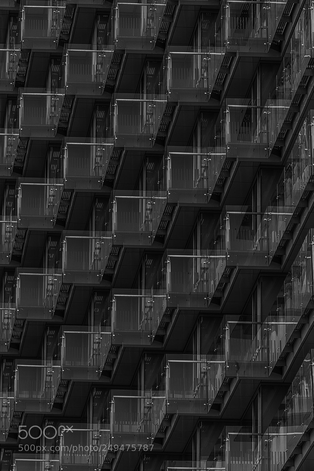 Nikon D7100 sample photo. Bw photography