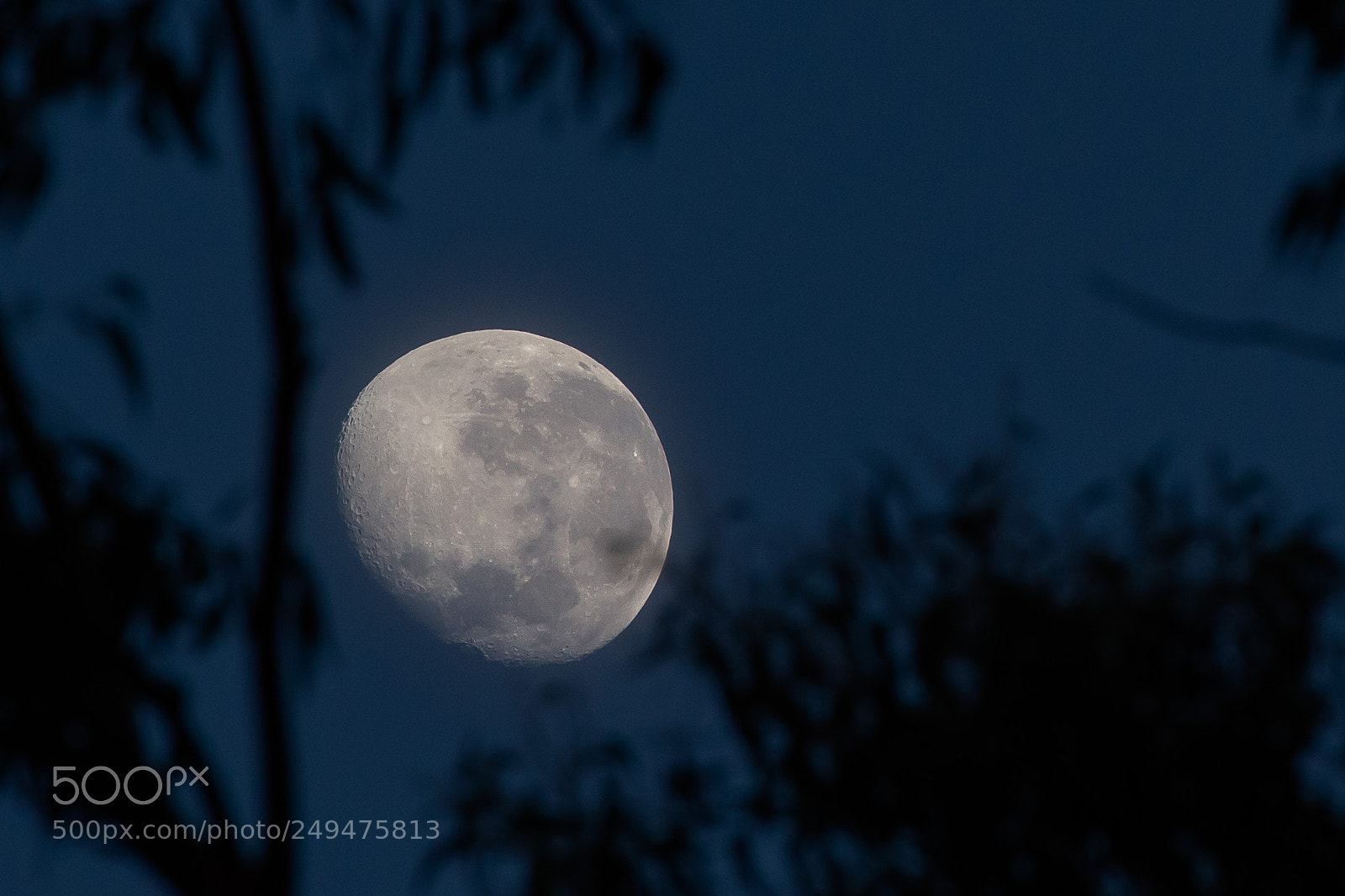 Canon EOS 7D sample photo. Blue moon photography