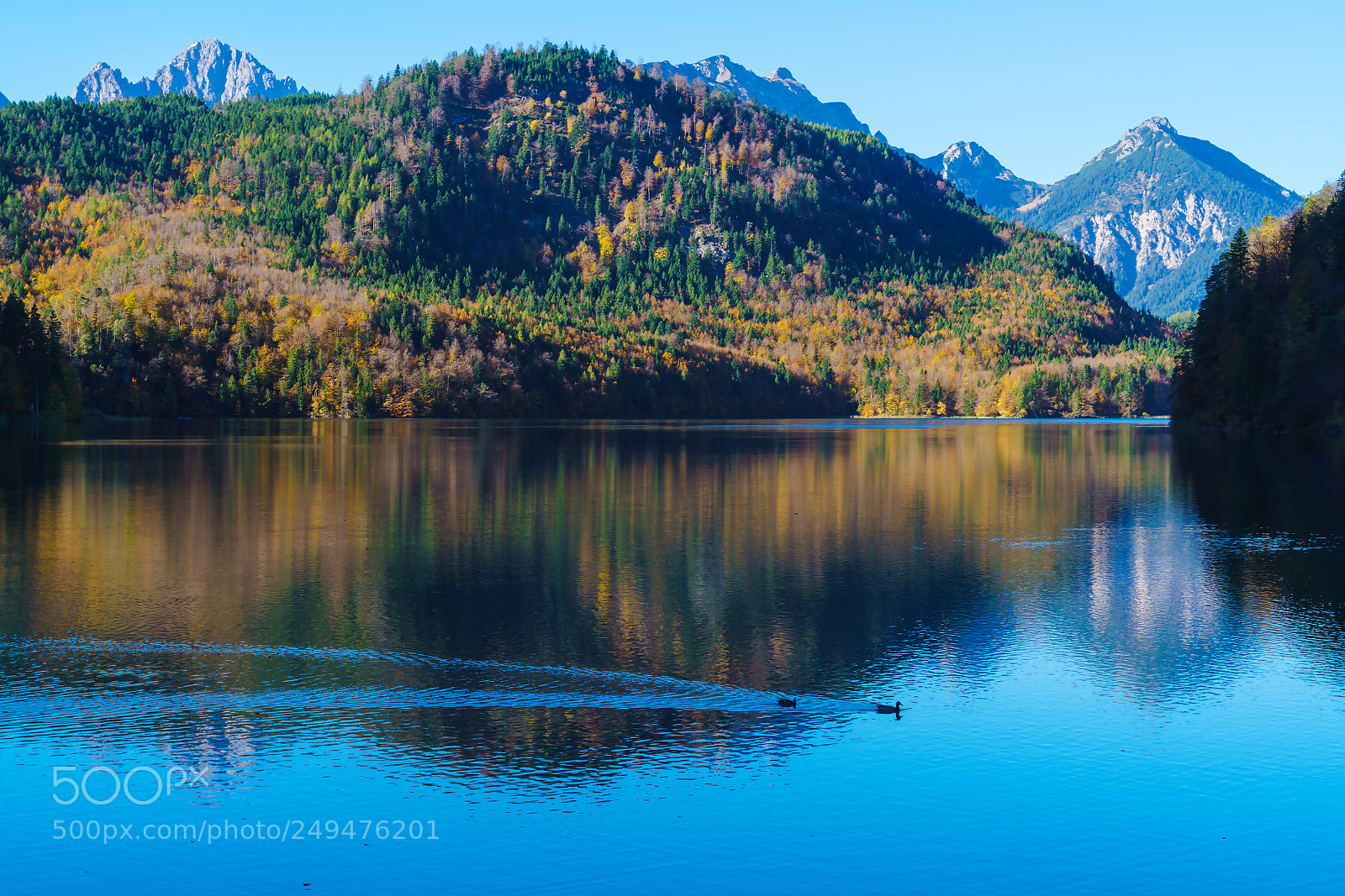 Sony a7R II sample photo. Hohenschwangau lake near neuschwanstein photography