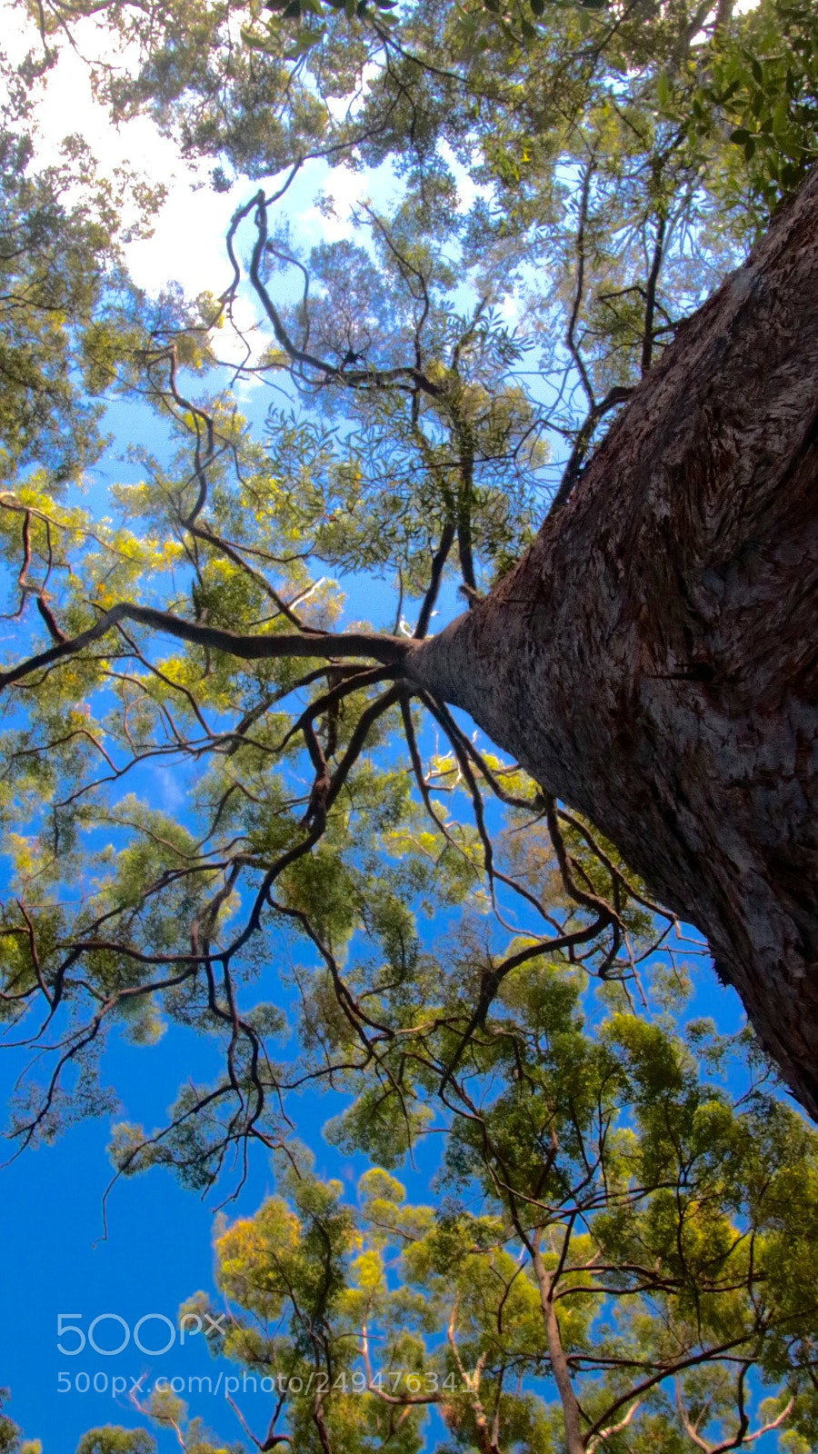Canon EOS 750D (EOS Rebel T6i / EOS Kiss X8i) sample photo. Hiking in australi love photography