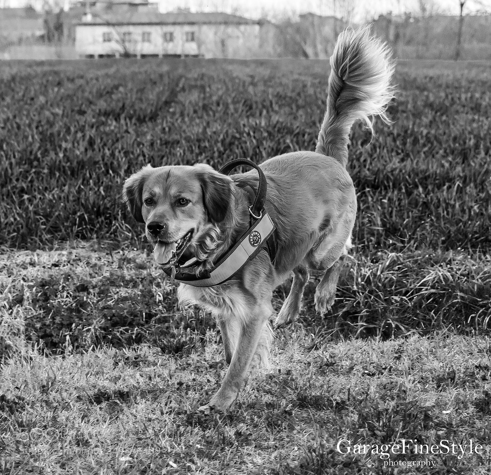 Nikon D5300 sample photo. Carlos photography