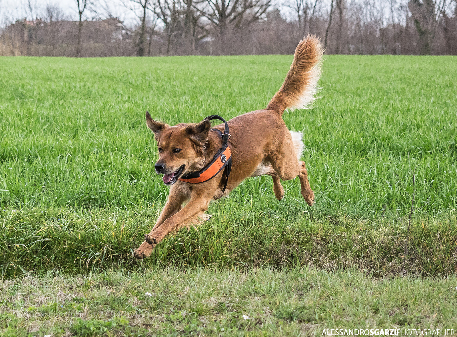 Nikon D5300 sample photo. Carlos photography