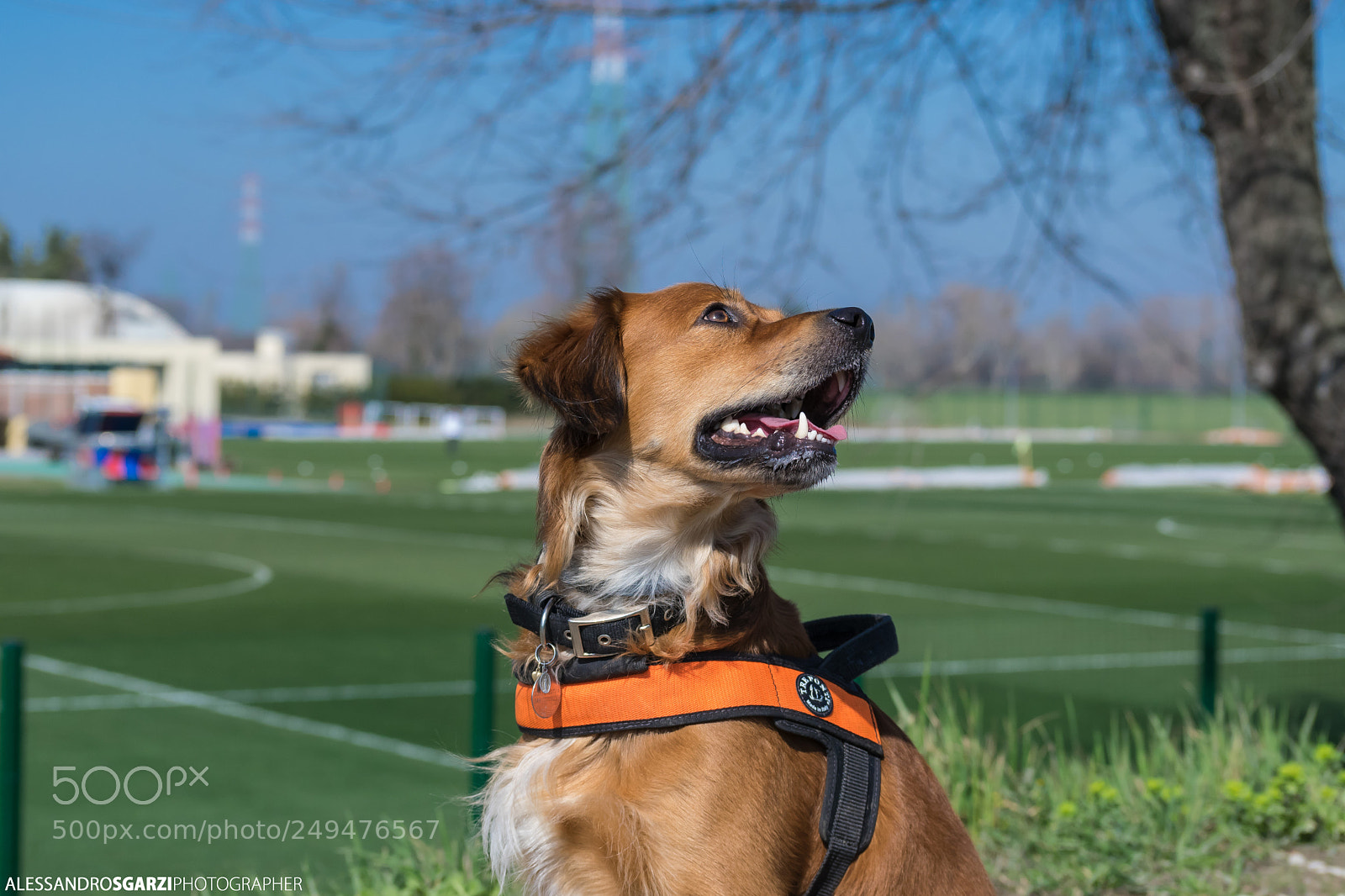 Nikon D5300 sample photo. Carlos photography