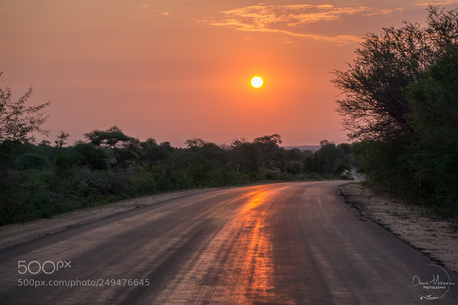 Sony a6000 sample photo. Sunset in kruger park photography