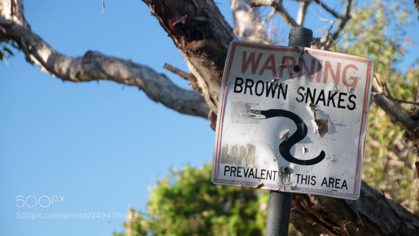 Canon EOS 750D (EOS Rebel T6i / EOS Kiss X8i) sample photo. Pay attention! ? photography