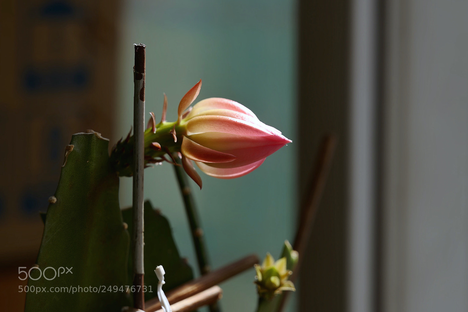 Leica SL (Typ 601) sample photo. Untitled photography