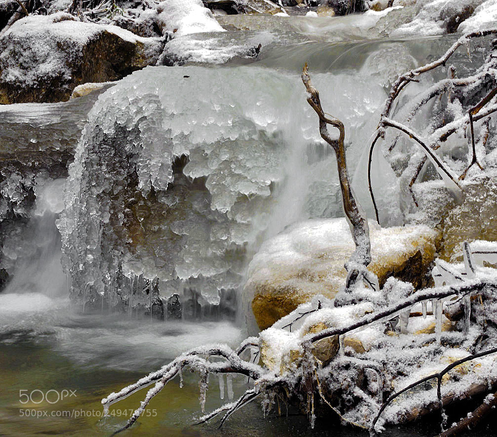 Sony ILCA-77M2 sample photo. Icy creek photography