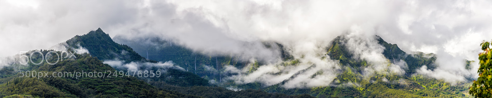 Nikon D5 sample photo. After the storm photography